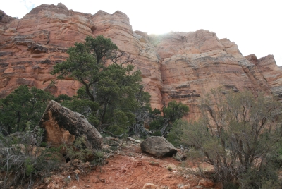 Grand Canyon 2008